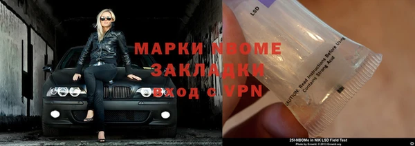 молекула духа Вяземский