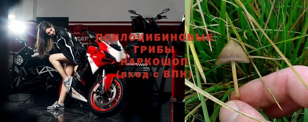 а пвп мука Кукмор