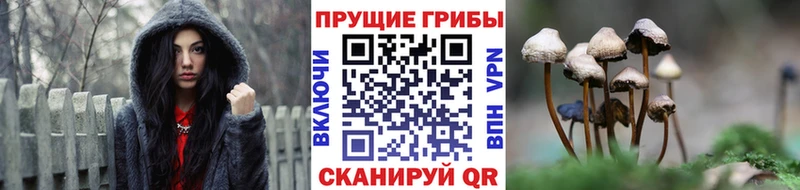 Псилоцибиновые грибы MAGIC MUSHROOMS  закладки  Гаджиево 